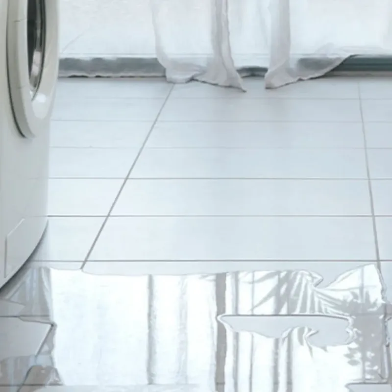 Appliance Leak Cleanup in Greilickville, MI