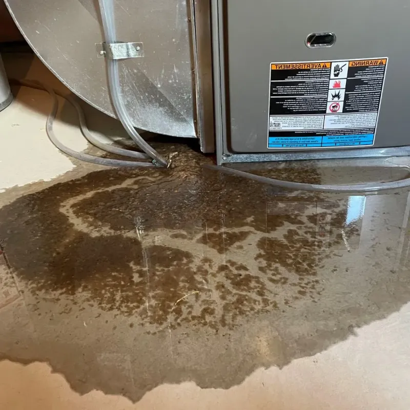 Pipe Burst and Leak Restoration in Greilickville, MI